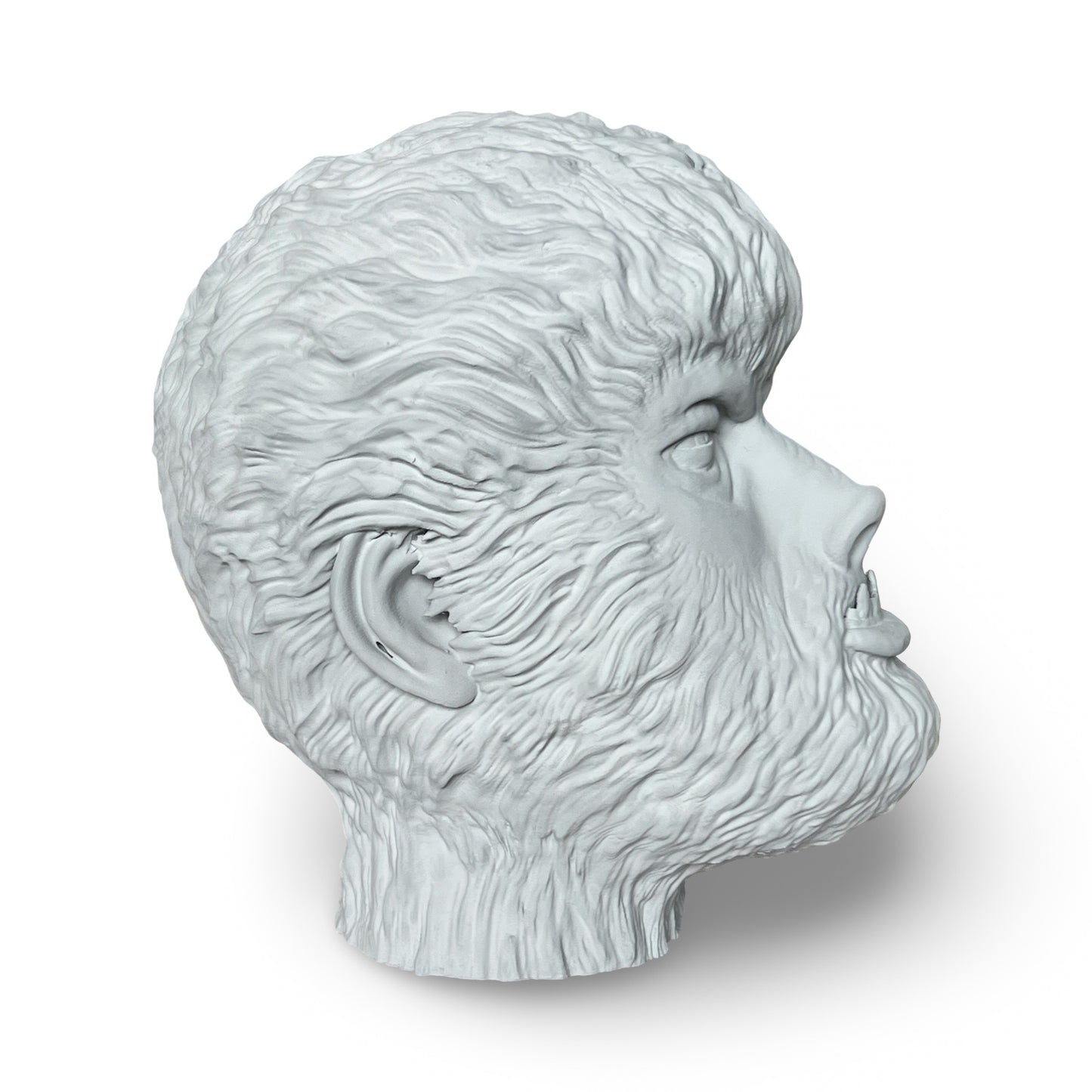 9.5" DIY Paintable Wolfman Prop Head