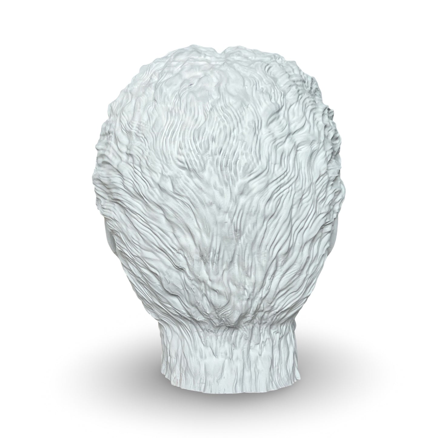 9.5" DIY Paintable Wolfman Prop Head