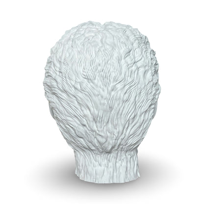 9.5" DIY Paintable Wolfman Prop Head