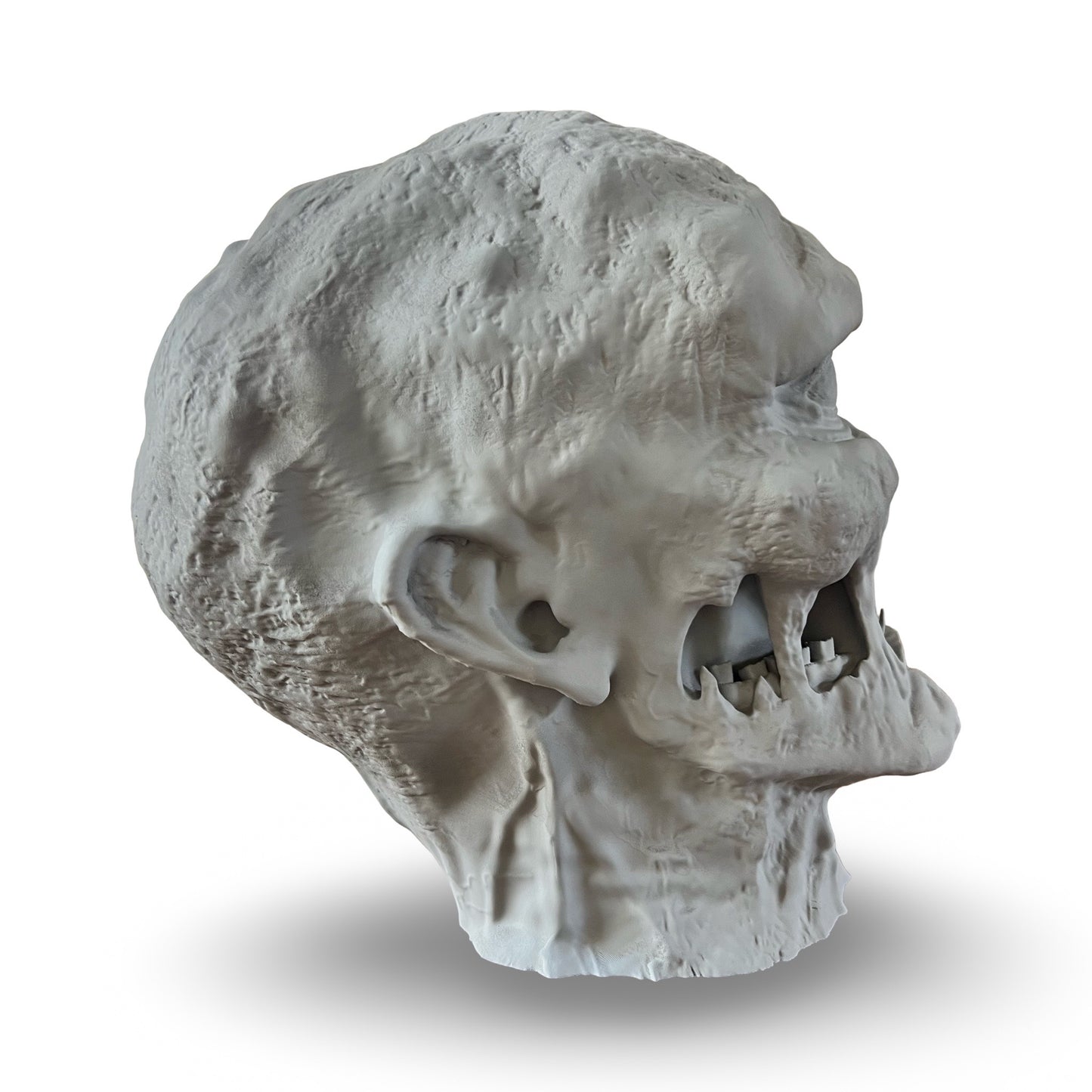 The Screaming Ghoul DIY Prop Head