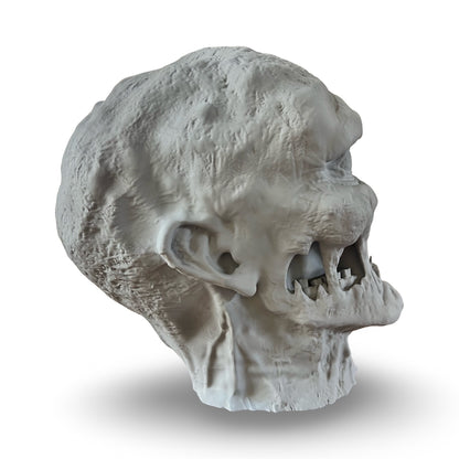 The Screaming Ghoul DIY Prop Head