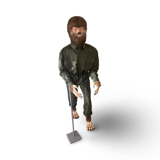Life Size Classic Wolfman Prop