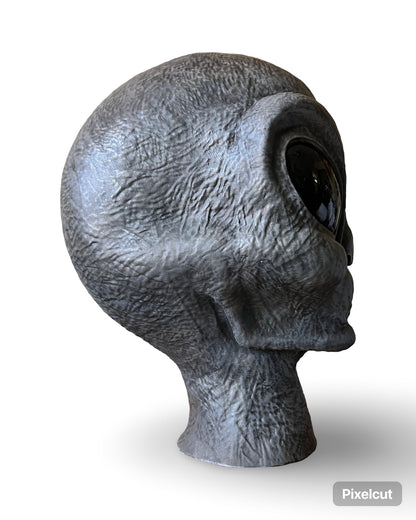 Project Grey # 9 Alien Prop Head