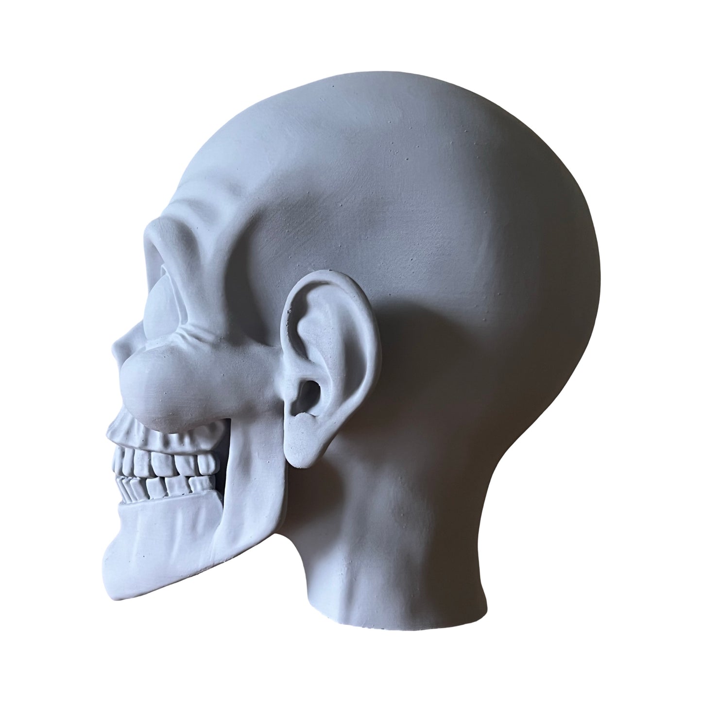 8” Diy Paintable Prop Skull Head